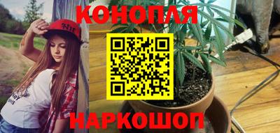 стафф Иваново